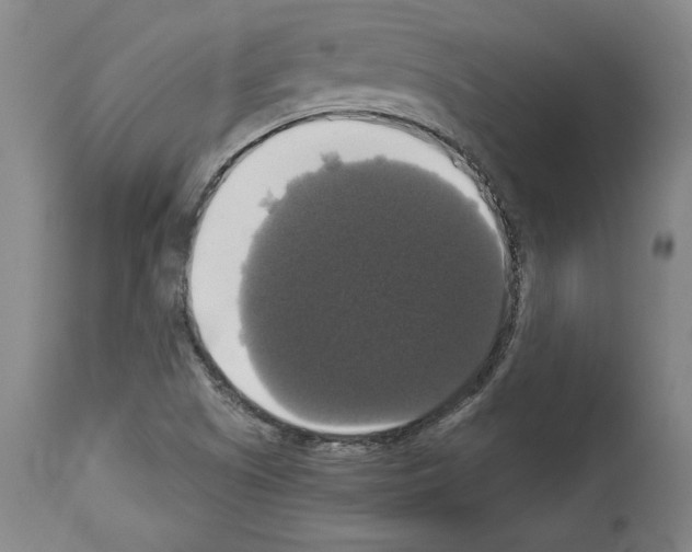 X0000112911505200910051030