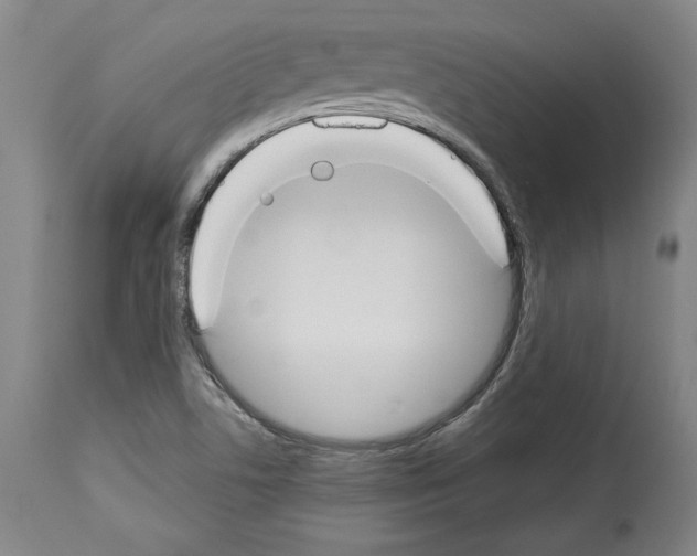 X0000112911506200910051030