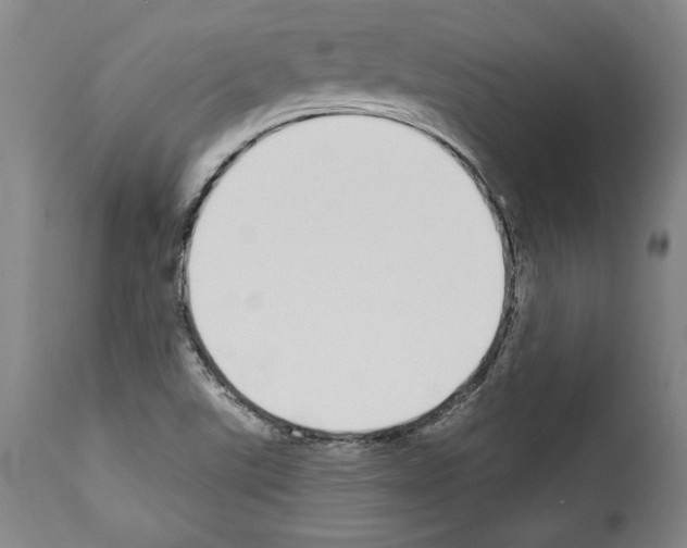 X0000112911507200910051030