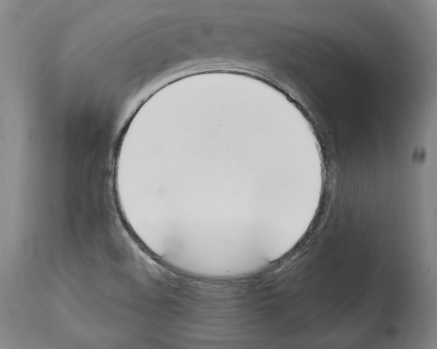 X0000112911508200910051030
