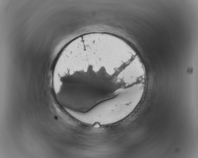 X0000112911509200910051030