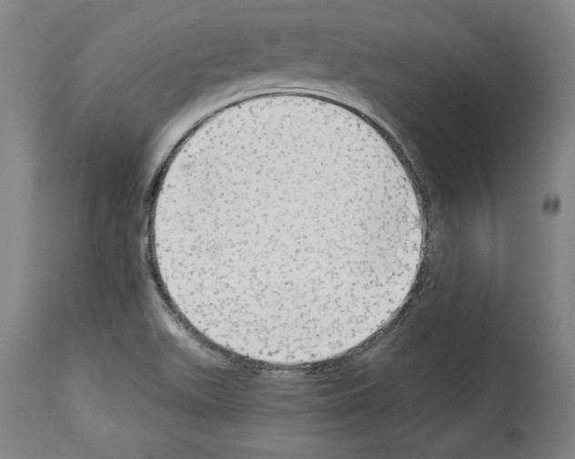 X0000112911511200910051030