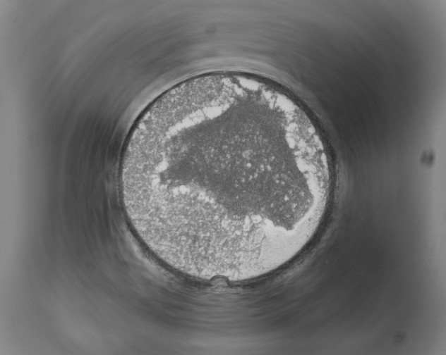 X0000112911513200910051030
