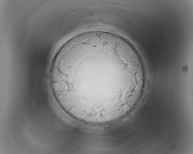 X0000112911514200910051030