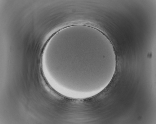 X0000112911515200910051030
