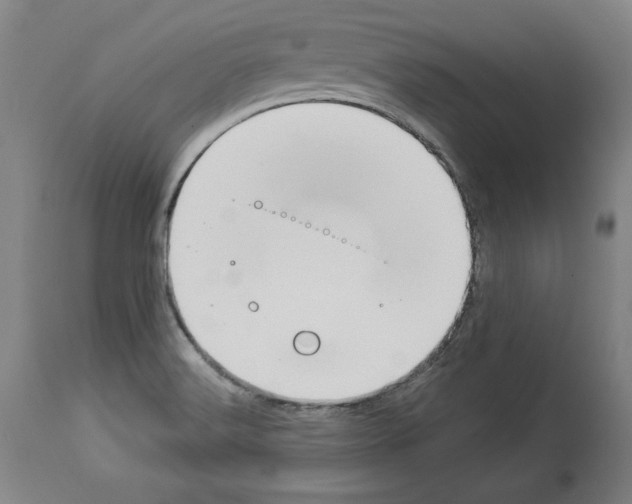 X0000112911516200910051030