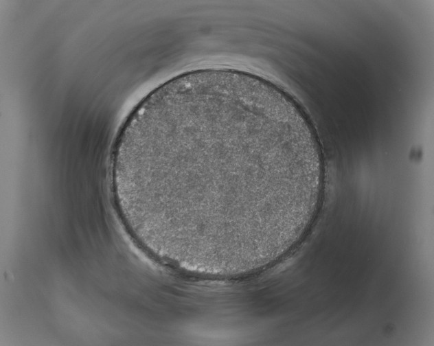 X0000112911517200910051030