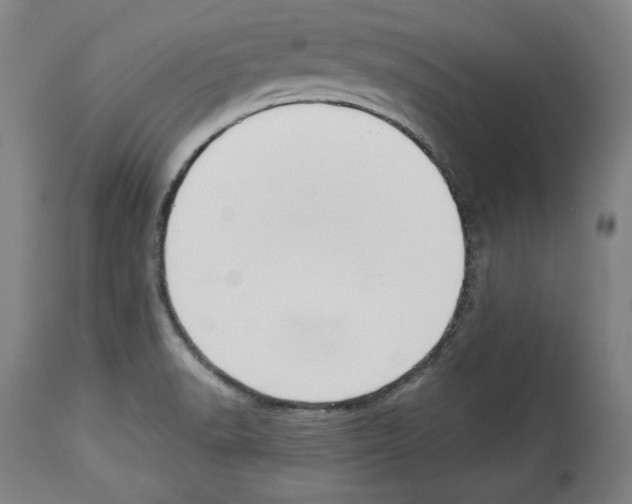 X0000112911518200910051030