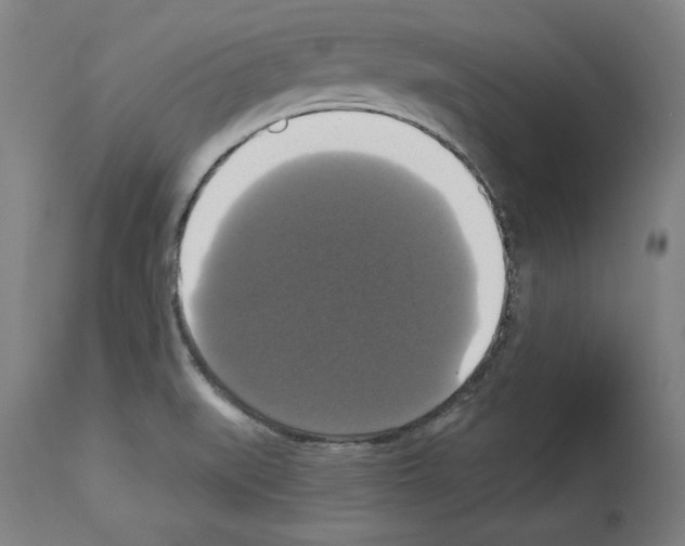 X0000112911519200910051030