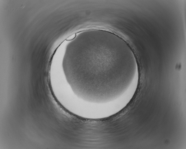 X0000112911520200910051030