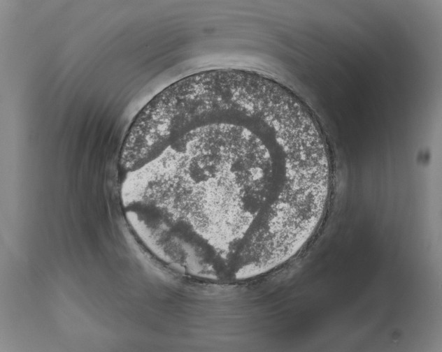 X0000112911521200910051030