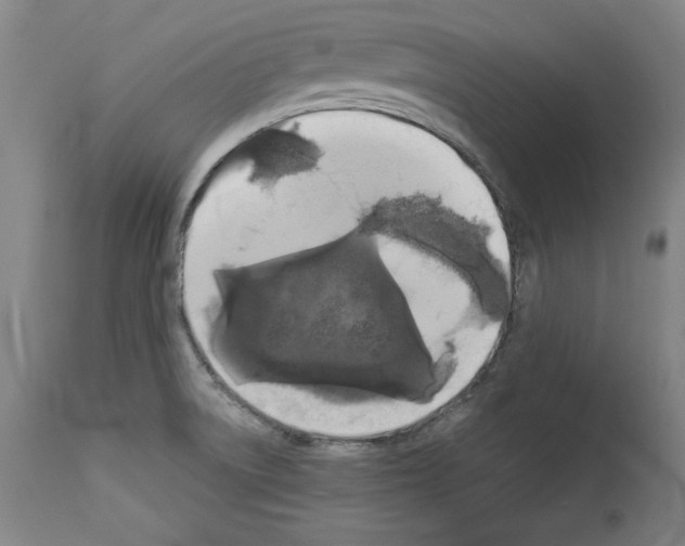 X0000112911522200910051030