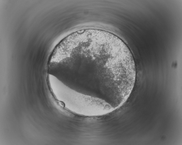 X0000112911523200910051030