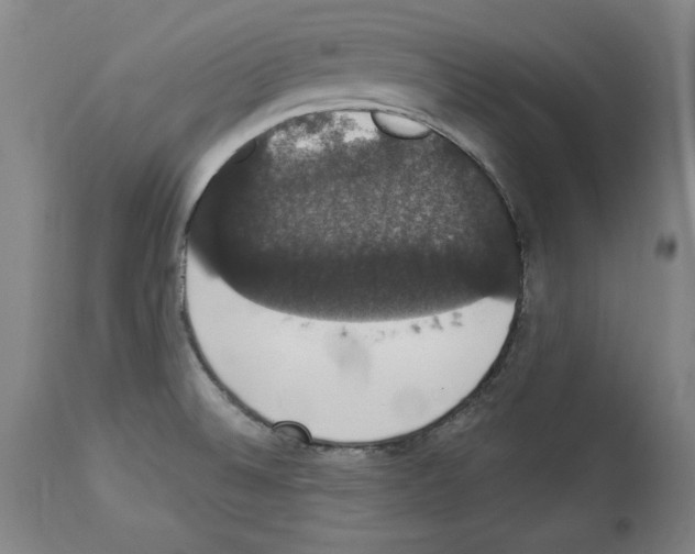 X0000112911524200910051030