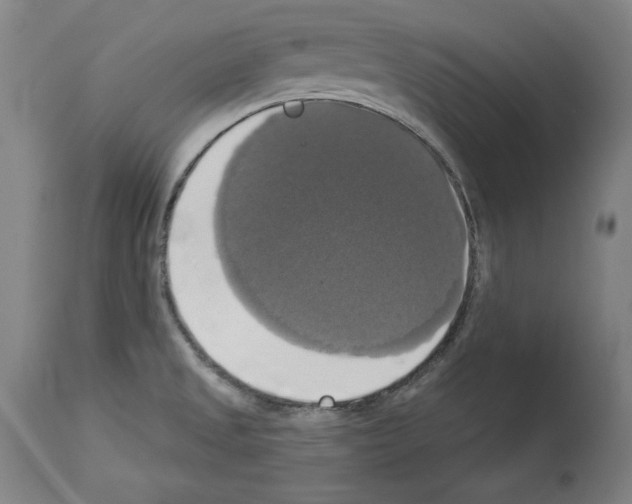 X0000112911525200910051030