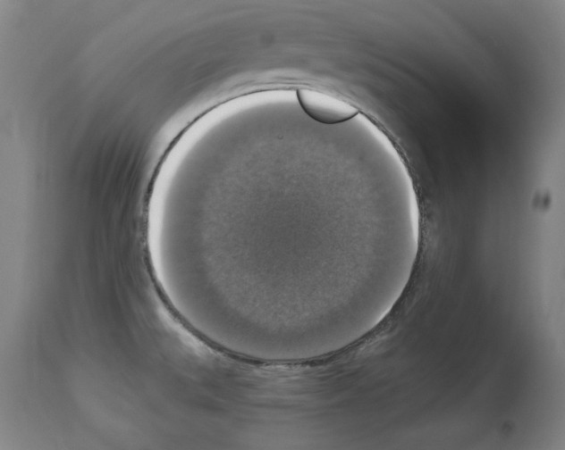X0000112911527200910051030