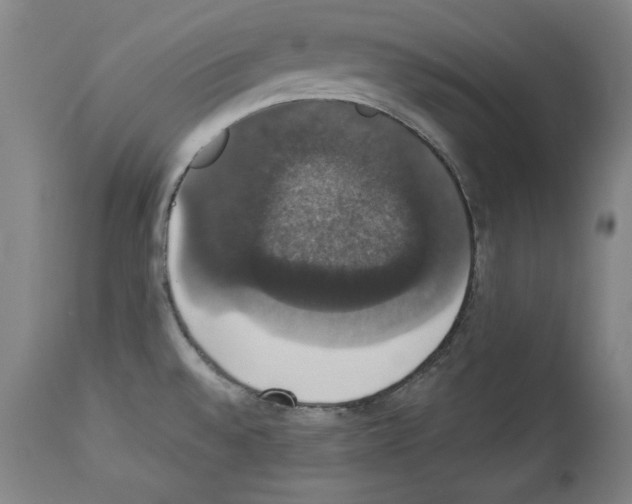 X0000112911528200910051030