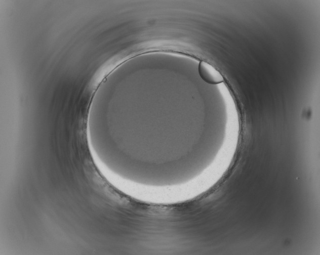 X0000112911529200910051030