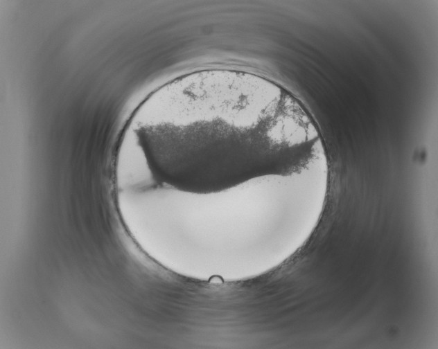 X0000112911531200910051030