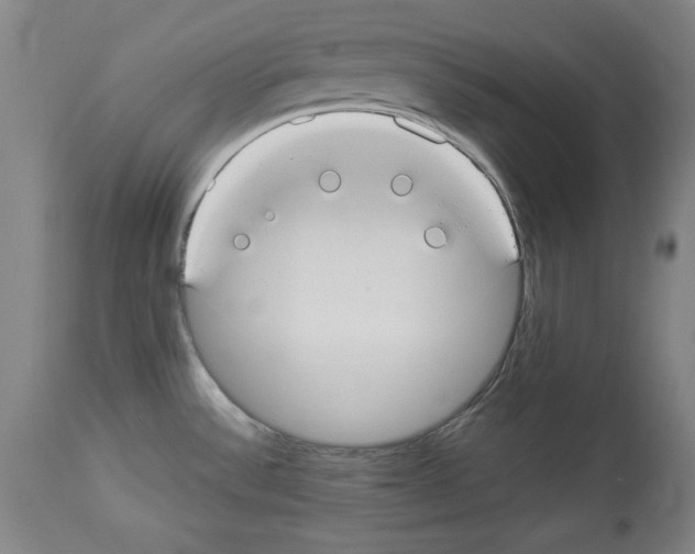 X0000112911532200910051030