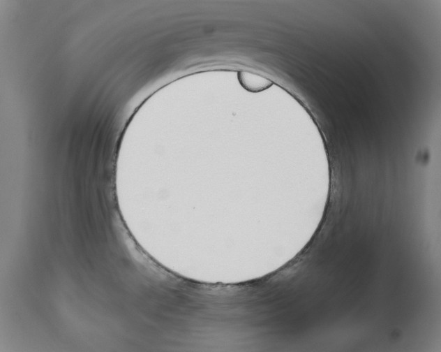 X0000112911534200910051030