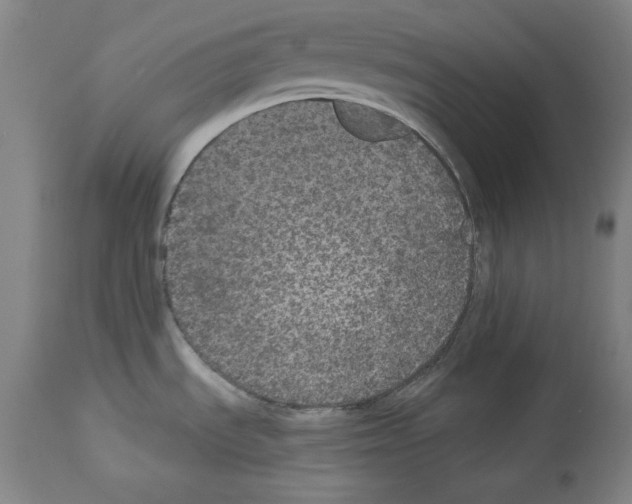 X0000112911535200910051030