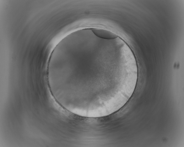 X0000112911536200910051030