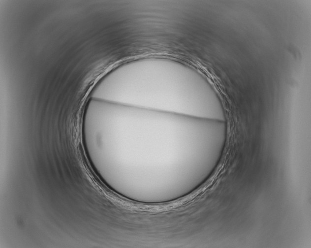 X0000112920002200908241042