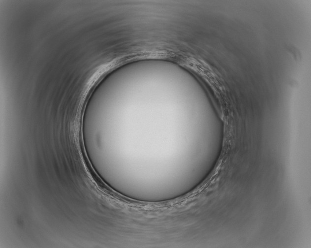 X0000112920003200908241042