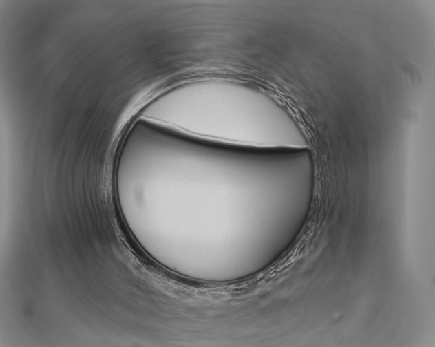 X0000112920004200908241042
