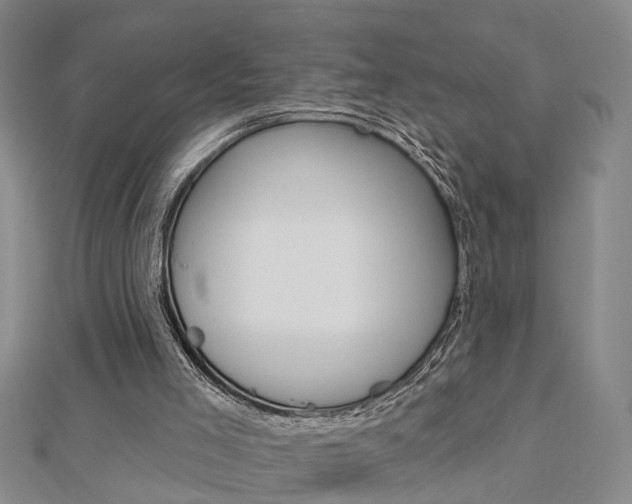 X0000112920005200908241042