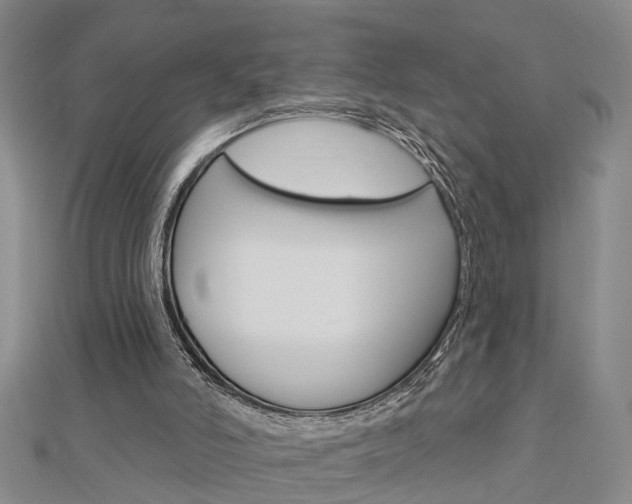 X0000112920006200908241042