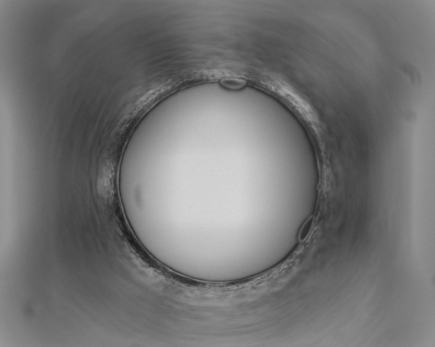 X0000112920009200908241042