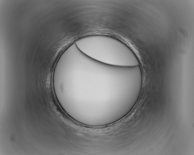 X0000112920010200908241042