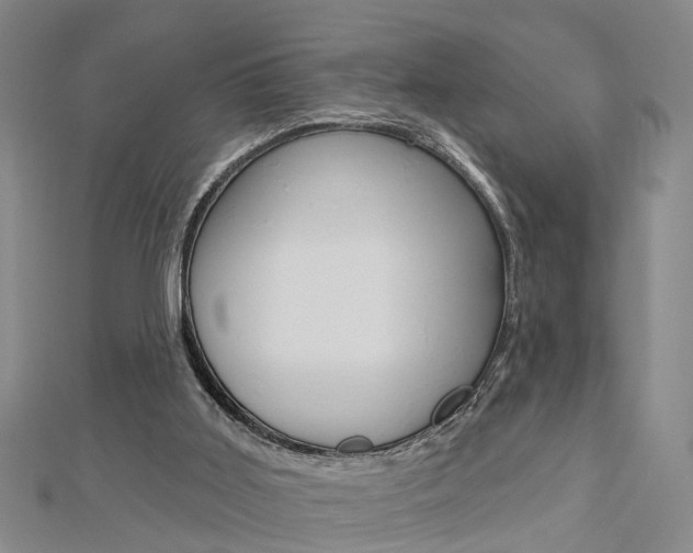 X0000112920011200908241042