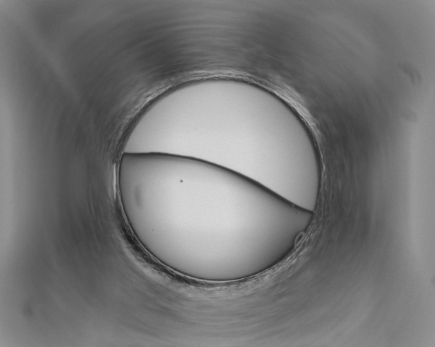 X0000112920013200908241041