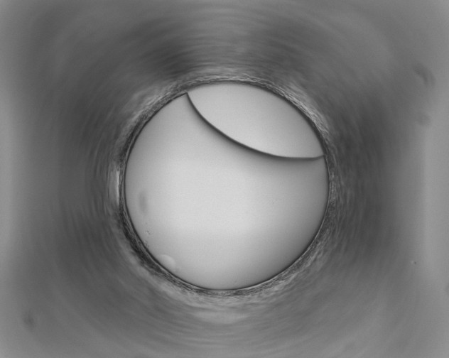 X0000112920014200908241041