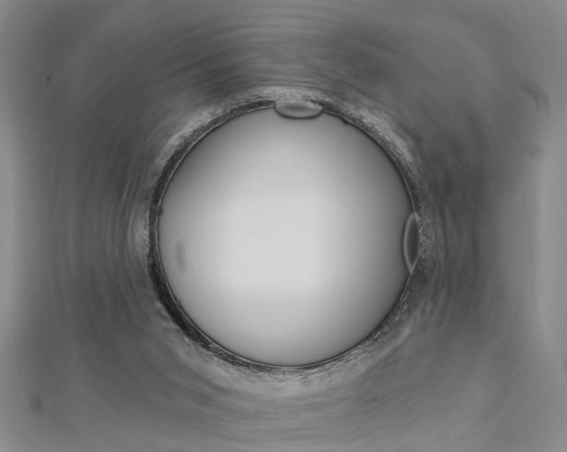 X0000112920015200908241041
