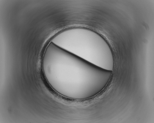 X0000112920016200908241041