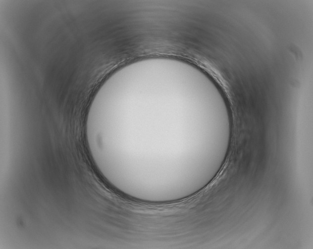 X0000112920017200908241041