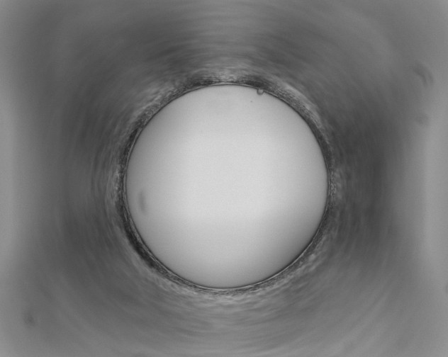 X0000112920018200908241041