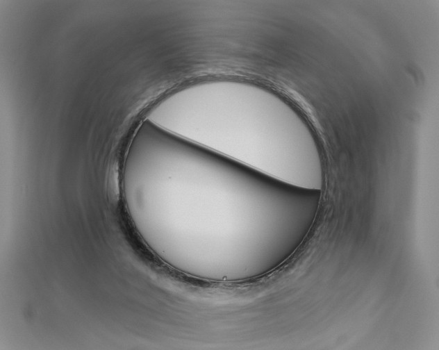 X0000112920020200908241041