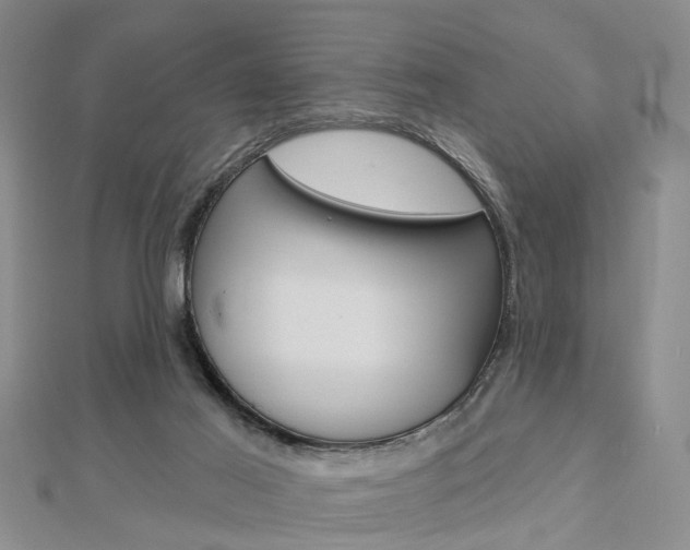 X0000112920021200908241041