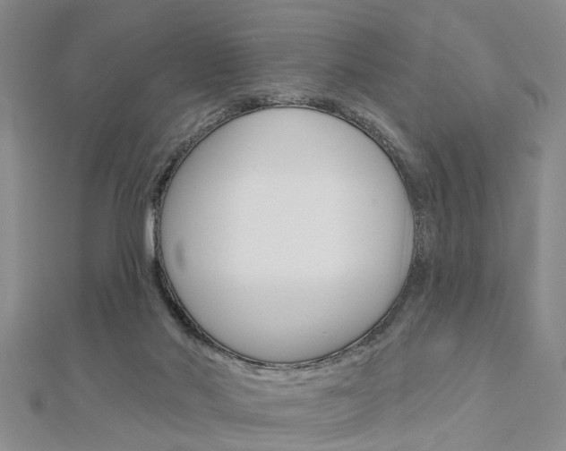 X0000112920022200908241041