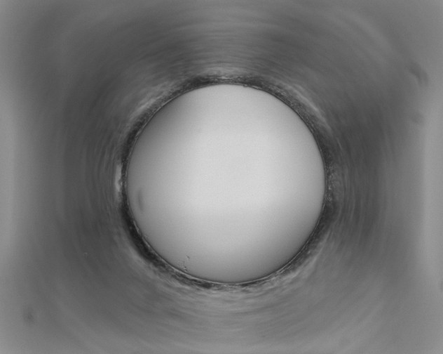 X0000112920024200908241041