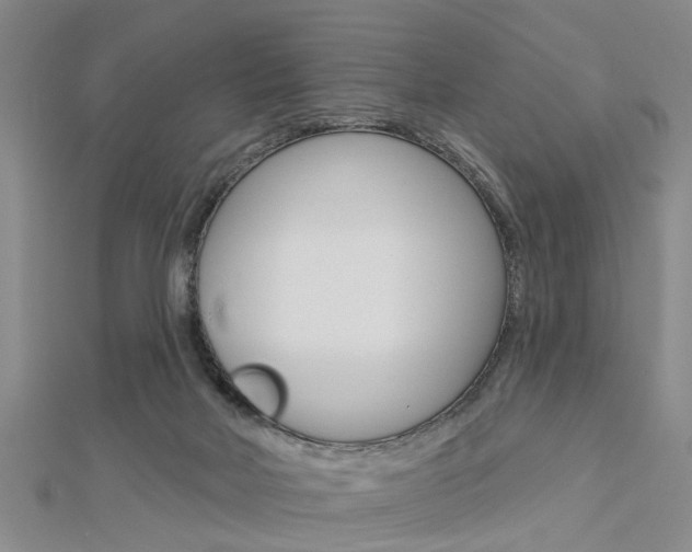 X0000112920026200908241041
