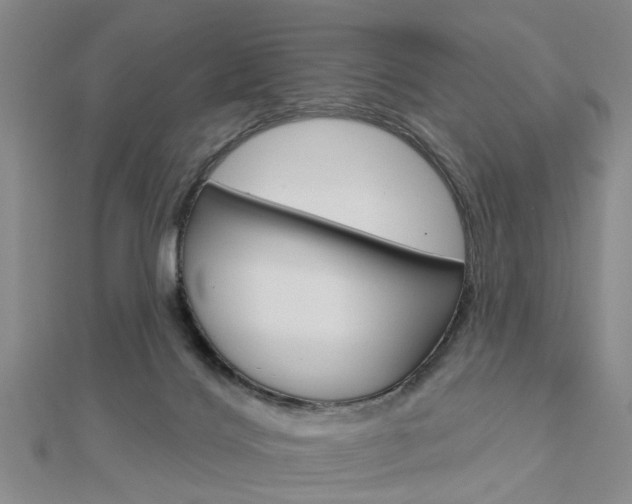 X0000112920028200908241041