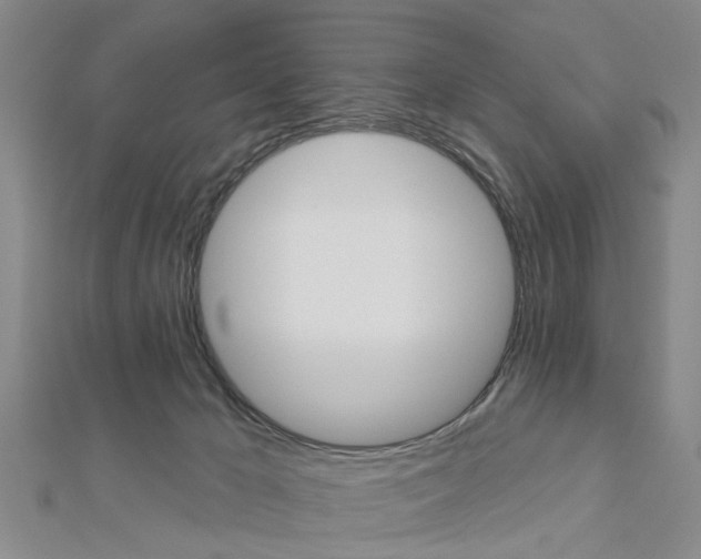 X0000112920029200908241041