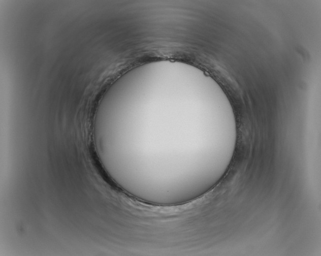 X0000112920031200908241041
