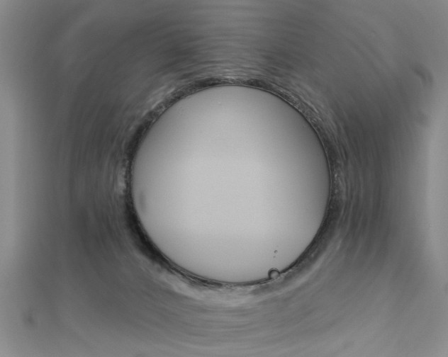 X0000112920032200908241041
